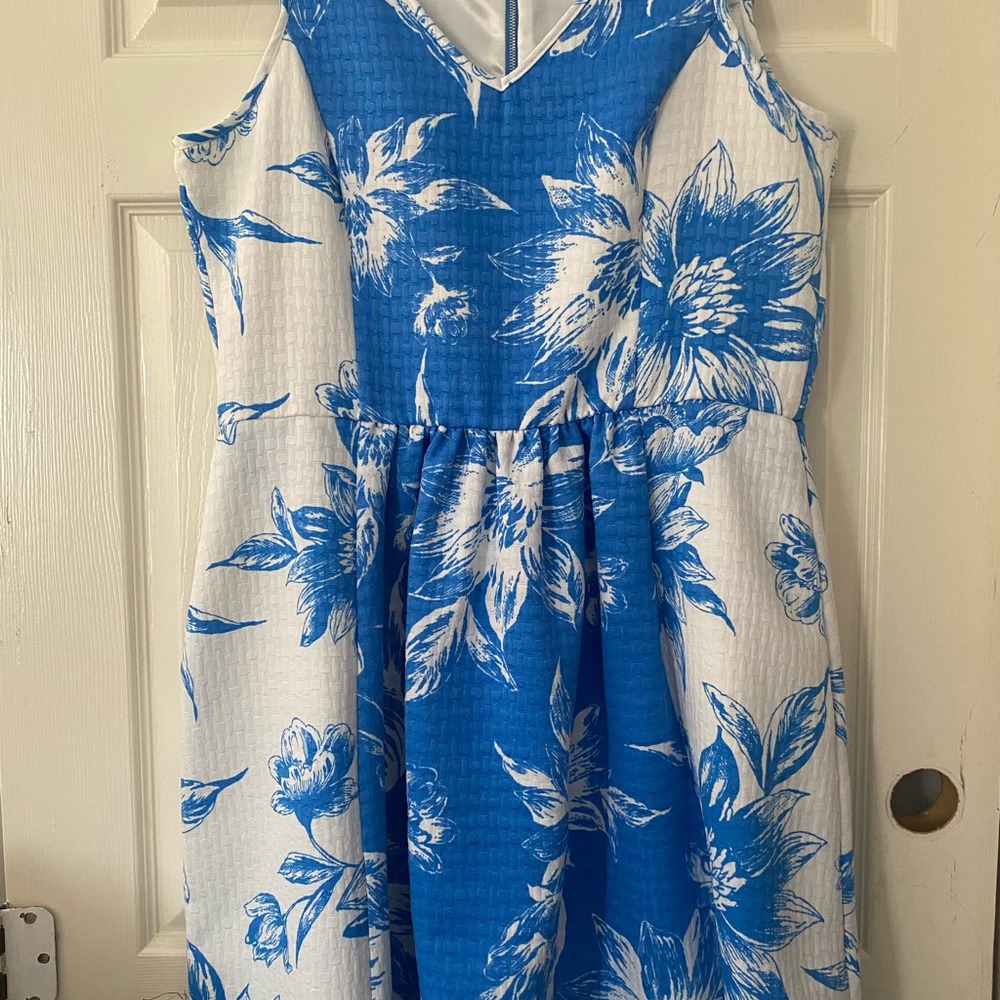 Blue and White Floral Dress
